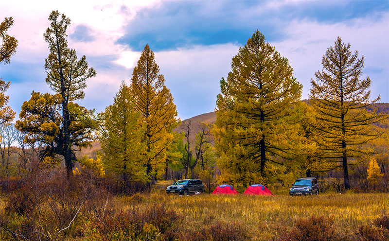 autumn camping tours mongolia 